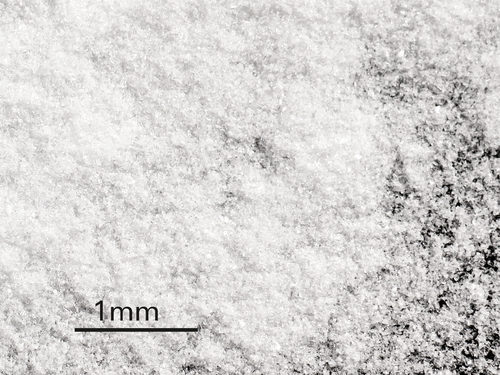 image magnification of 1 mm showing the small sized and minimally invasive glycine particles