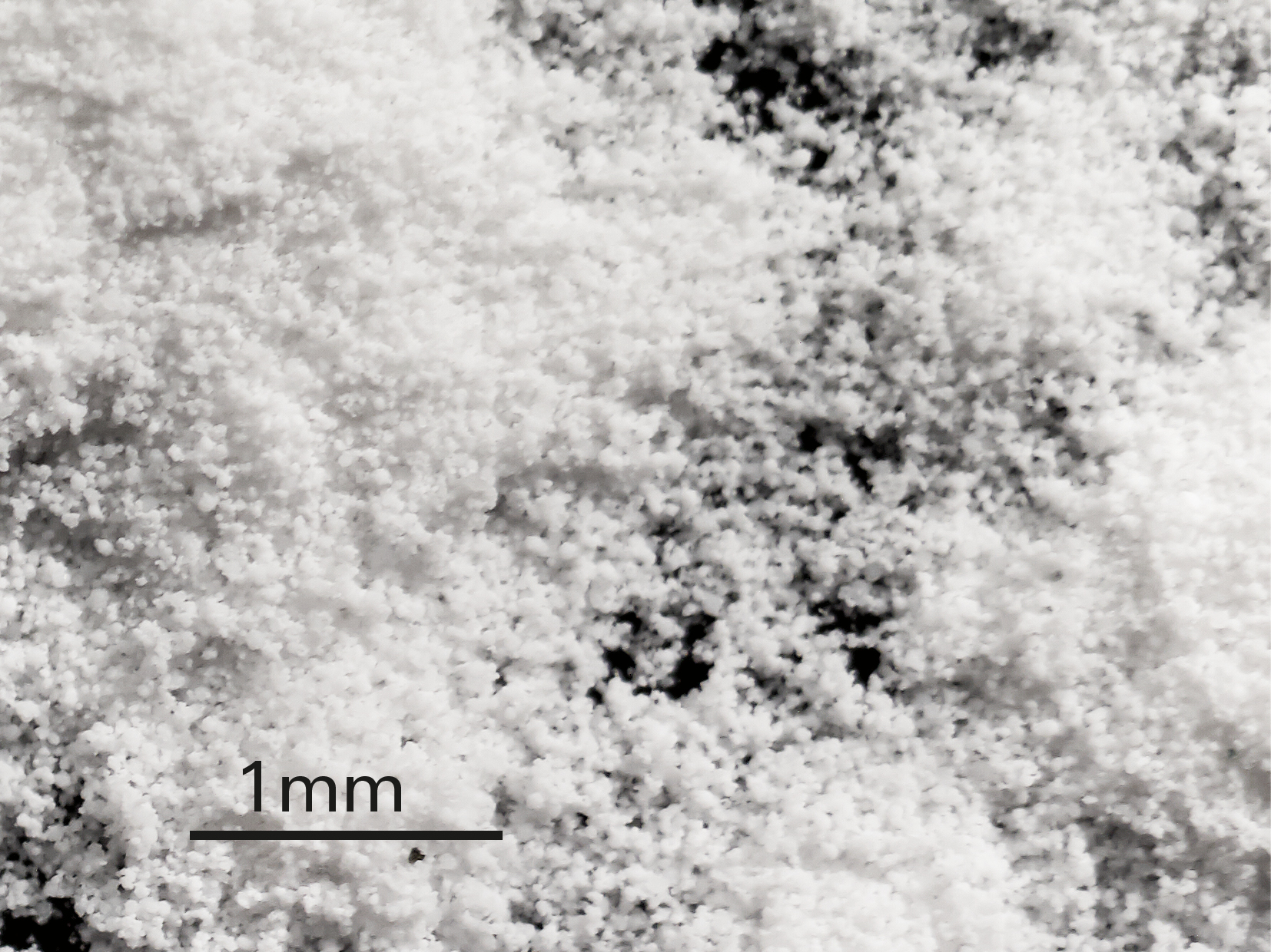 Calcium carbonate particles with a spherical shape (1 mm)