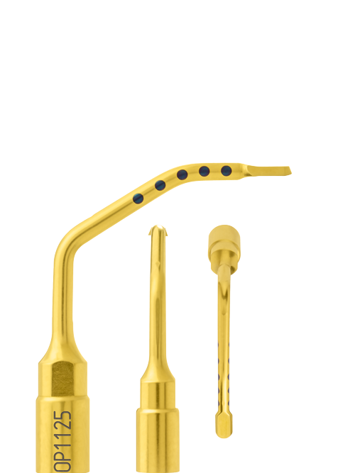 insert OP1125 lateral view